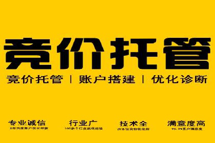 揭秘百度竞价广告：实战案例分析及优化策略